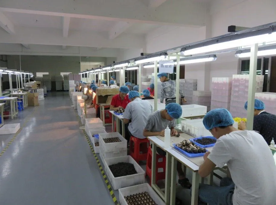 Consultation & Needs Analysis